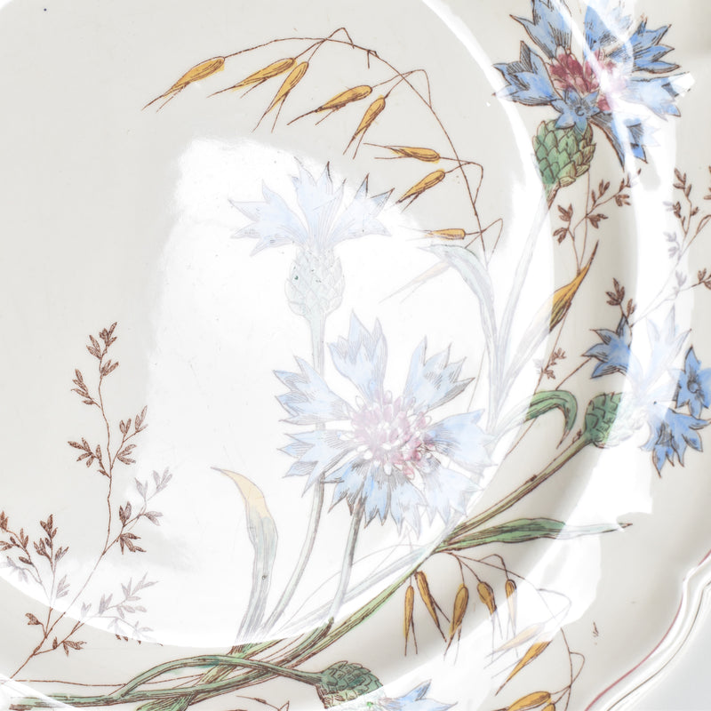 Antique Plate Longchamp Marguerites (Daisies) Cornflower D