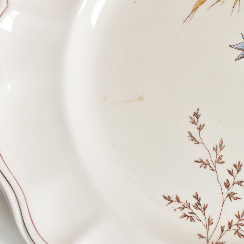 Antique Plate Longchamp Marguerites (Daisies) Cornflower D