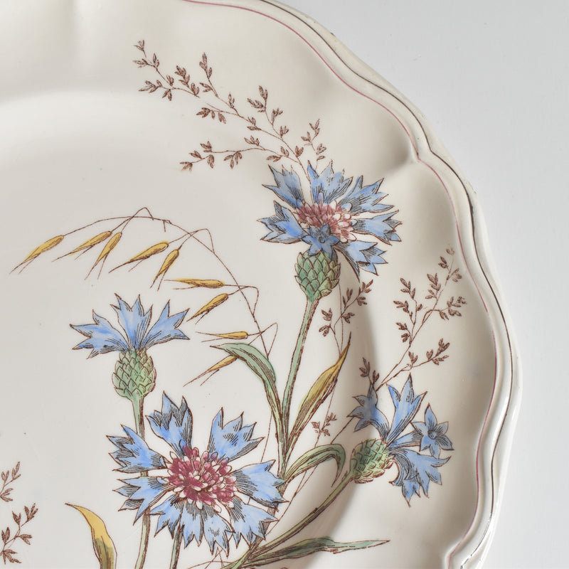 Antique Plate Longchamp Marguerites (Daisies) Cornflower E