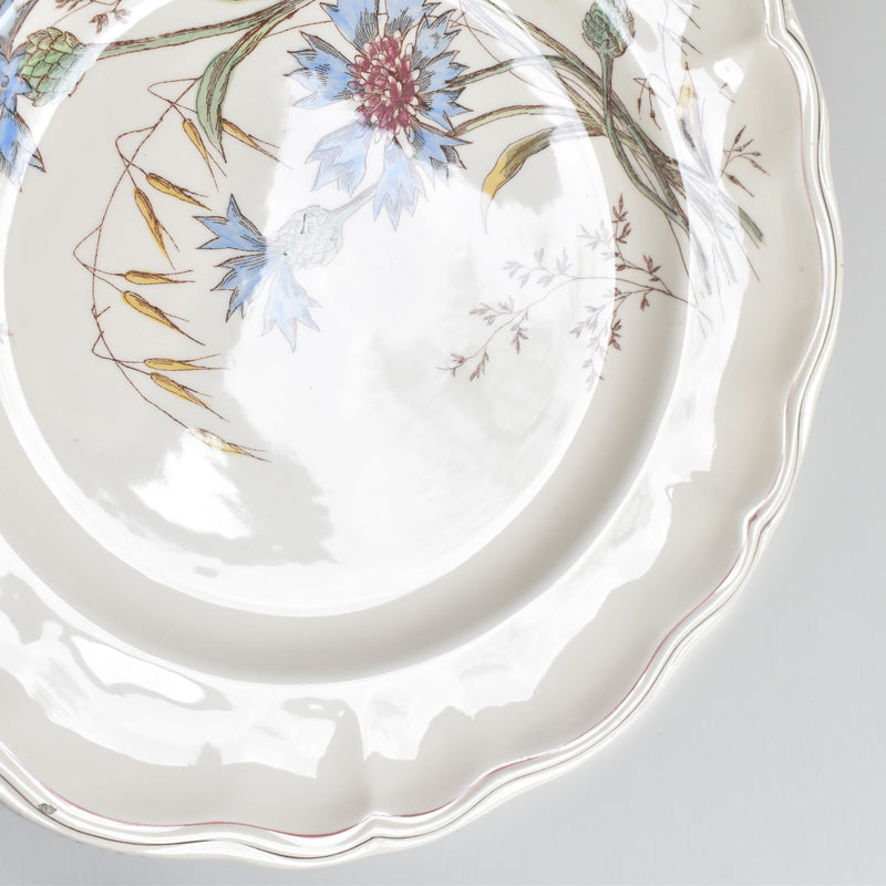 Antique Plate Longchamp Marguerites (Daisies) Cornflower E