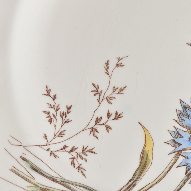 Antique Plate Longchamp Marguerites (Daisies) Cornflower E