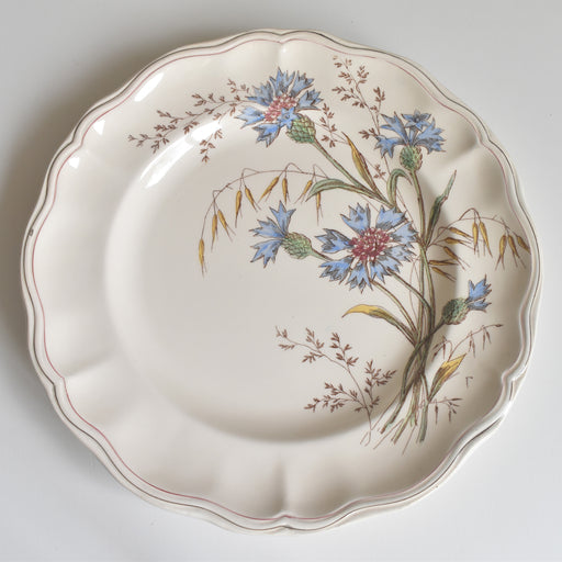 アンティークプレート ロンシャン Marguerites (マーガレット) 矢車菊 E