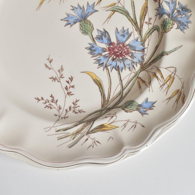 Antique Plate Longchamp Marguerites (Daisies) Cornflower E
