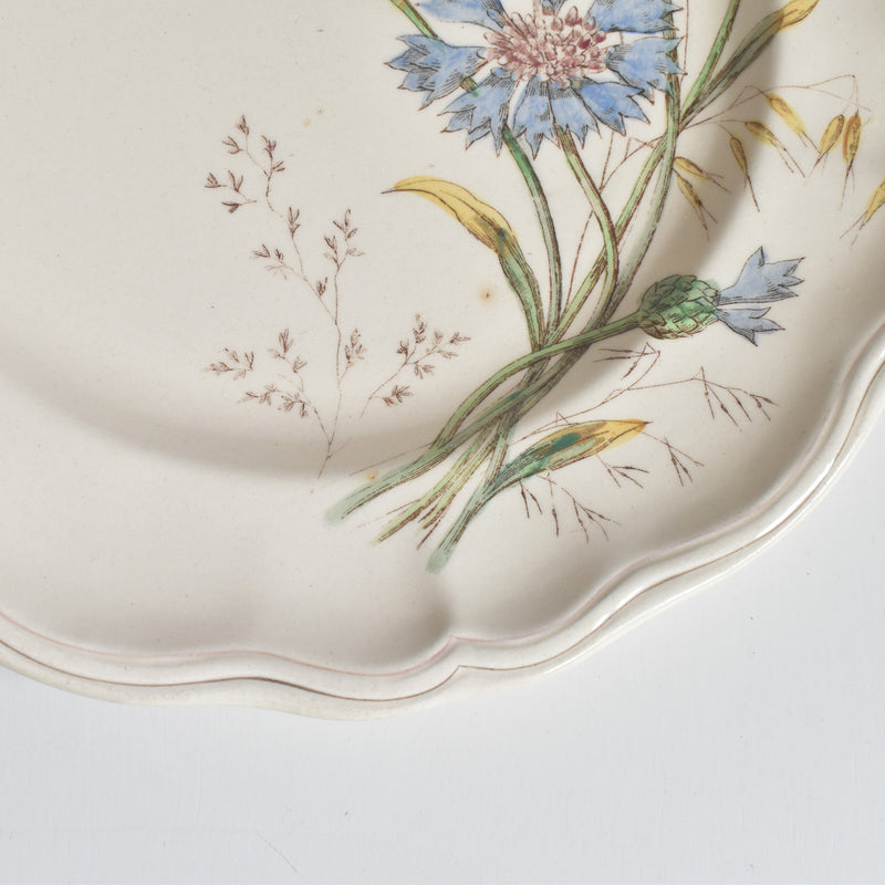 Antique Plate Longchamp Marguerites (Daisies) Cornflower F