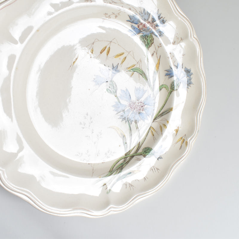 Antique Plate Longchamp Marguerites (Daisies) Cornflower F