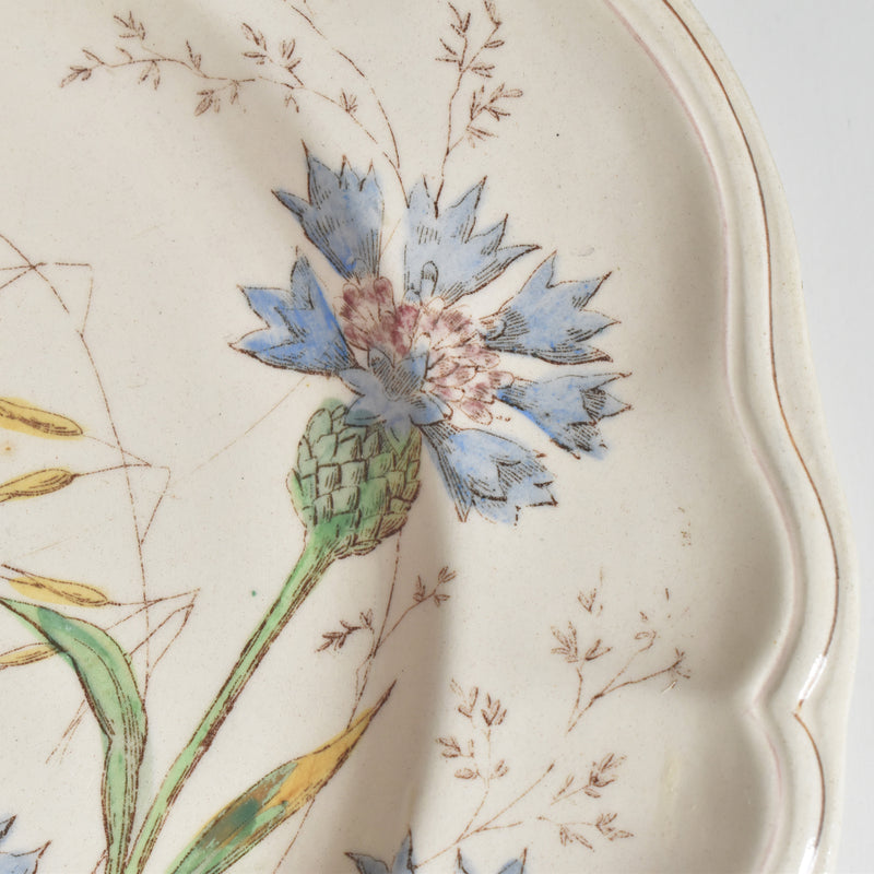 Antique Plate Longchamp Marguerites (Daisies) Cornflower F