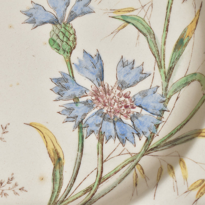 Antique Plate Longchamp Marguerites (Daisies) Cornflower F