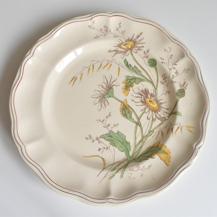 アンティークプレート ロンシャン Marguerites (マーガレット) ヒナギク D