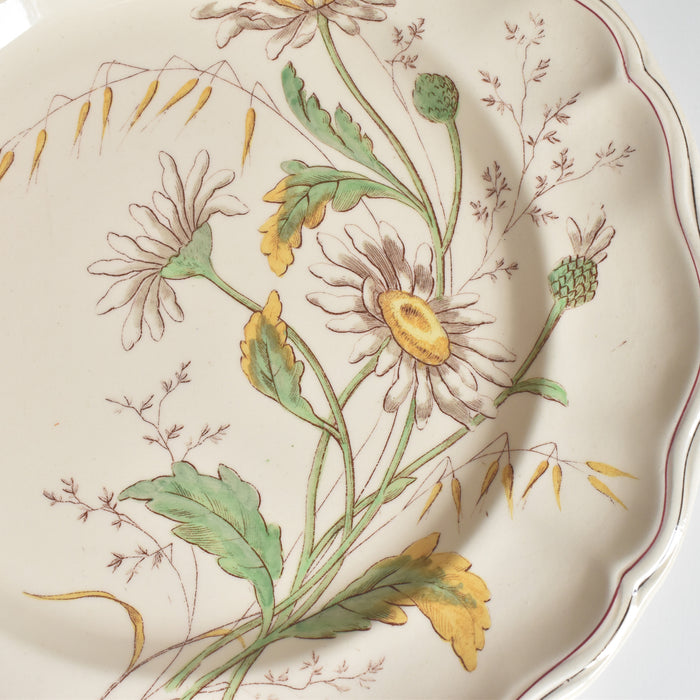 アンティークプレート ロンシャン Marguerites (マーガレット) ヒナギク D