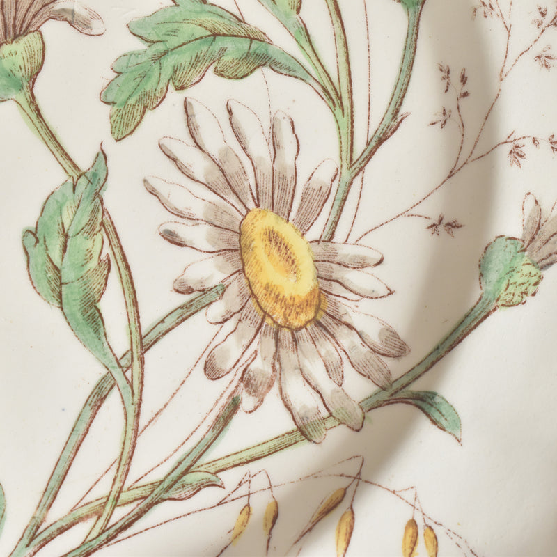 Antique Plate, Longchamp, Marguerites (Daisies), F