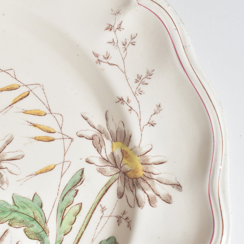 Antique Plate, Longchamp, Marguerites (Daisies), F