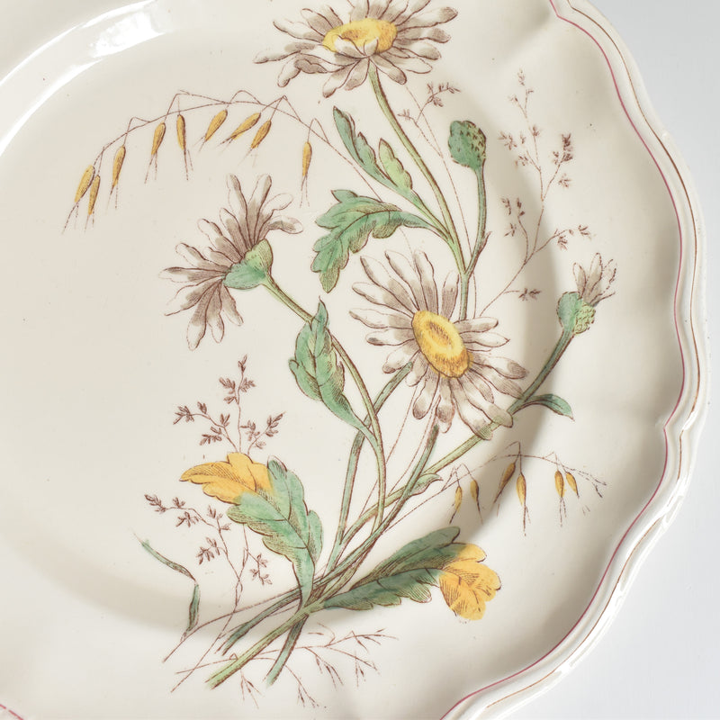 Antique Plate, Longchamp, Marguerites (Daisies), F