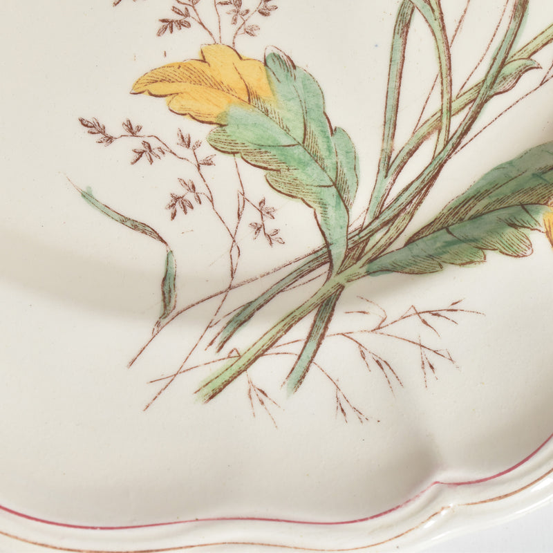 Antique Plate, Longchamp, Marguerites (Daisies), F