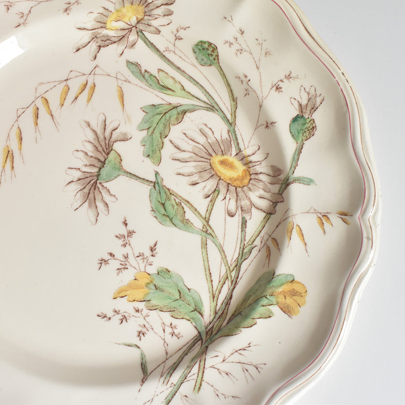 Antique Plate Longchamp Marguerites (Daisies) G