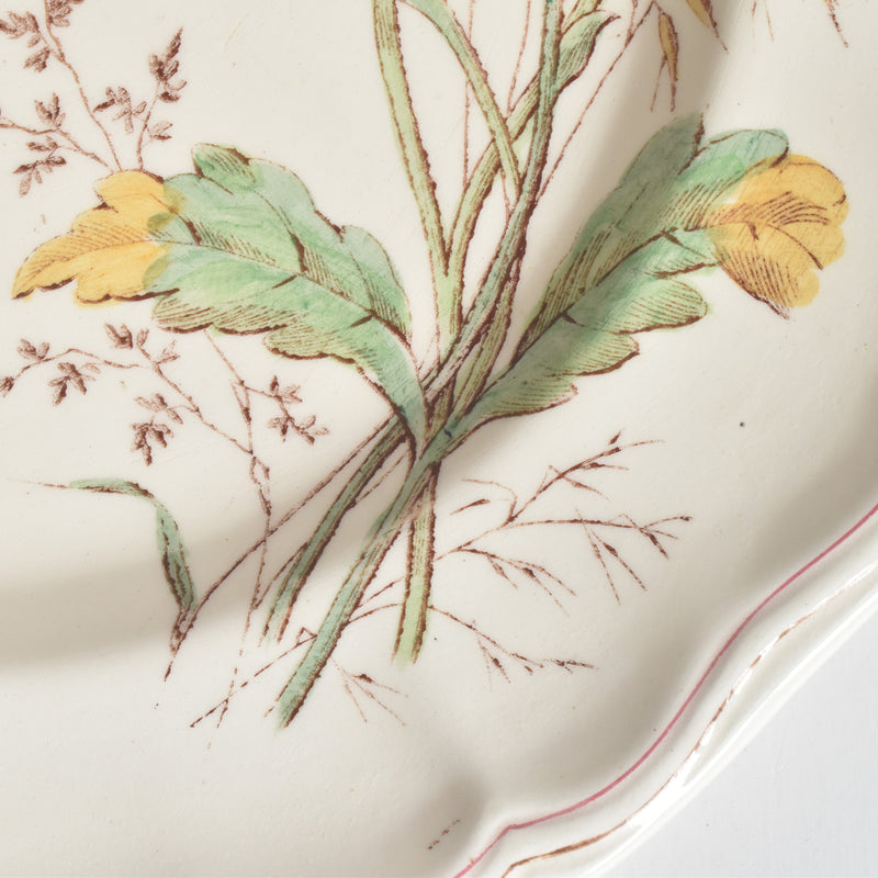 Antique Plate Longchamp Marguerites (Daisies) G