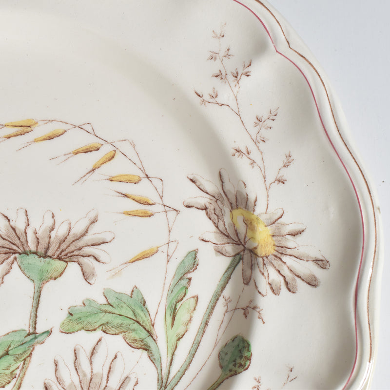 Antique Plate Longchamp Marguerites (Daisies) G