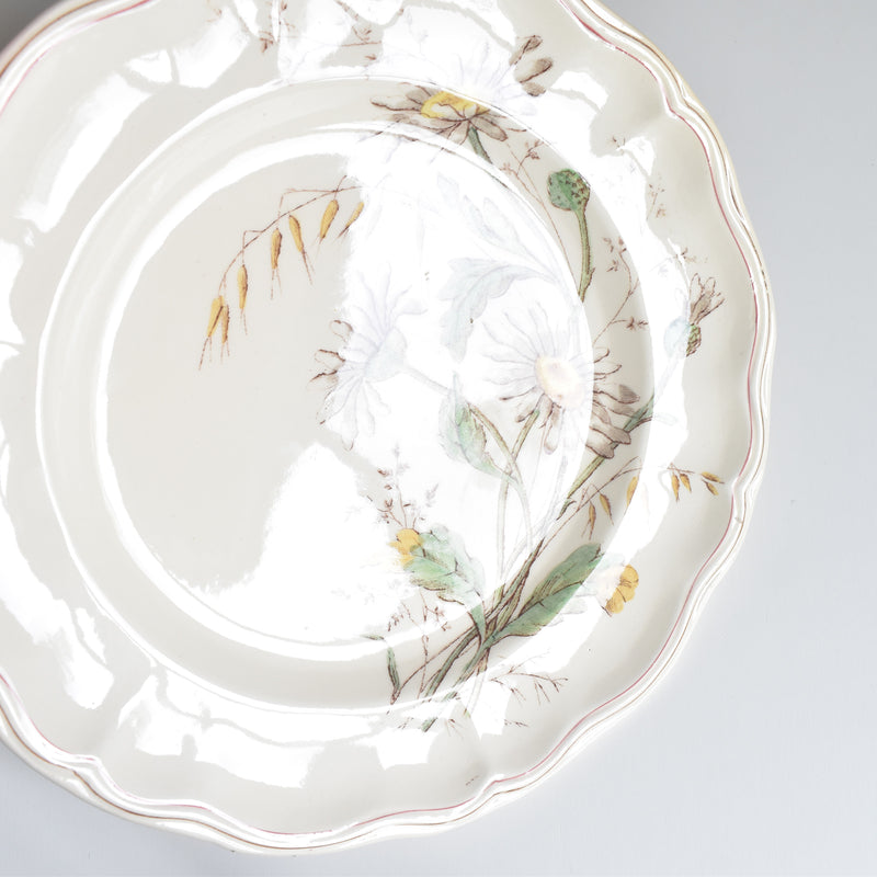 Antique Plate Longchamp Marguerites (Daisies) G