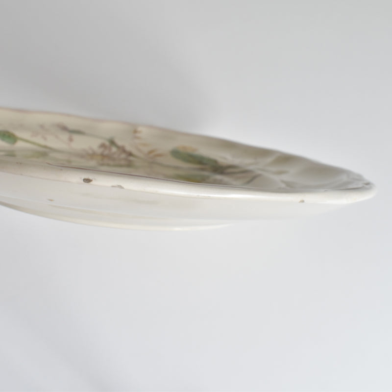 Antique Plate Longchamp Marguerites (Daisies) G