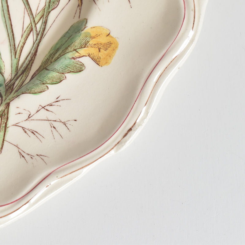 Antique Plate Longchamp Marguerites (Daisies) H