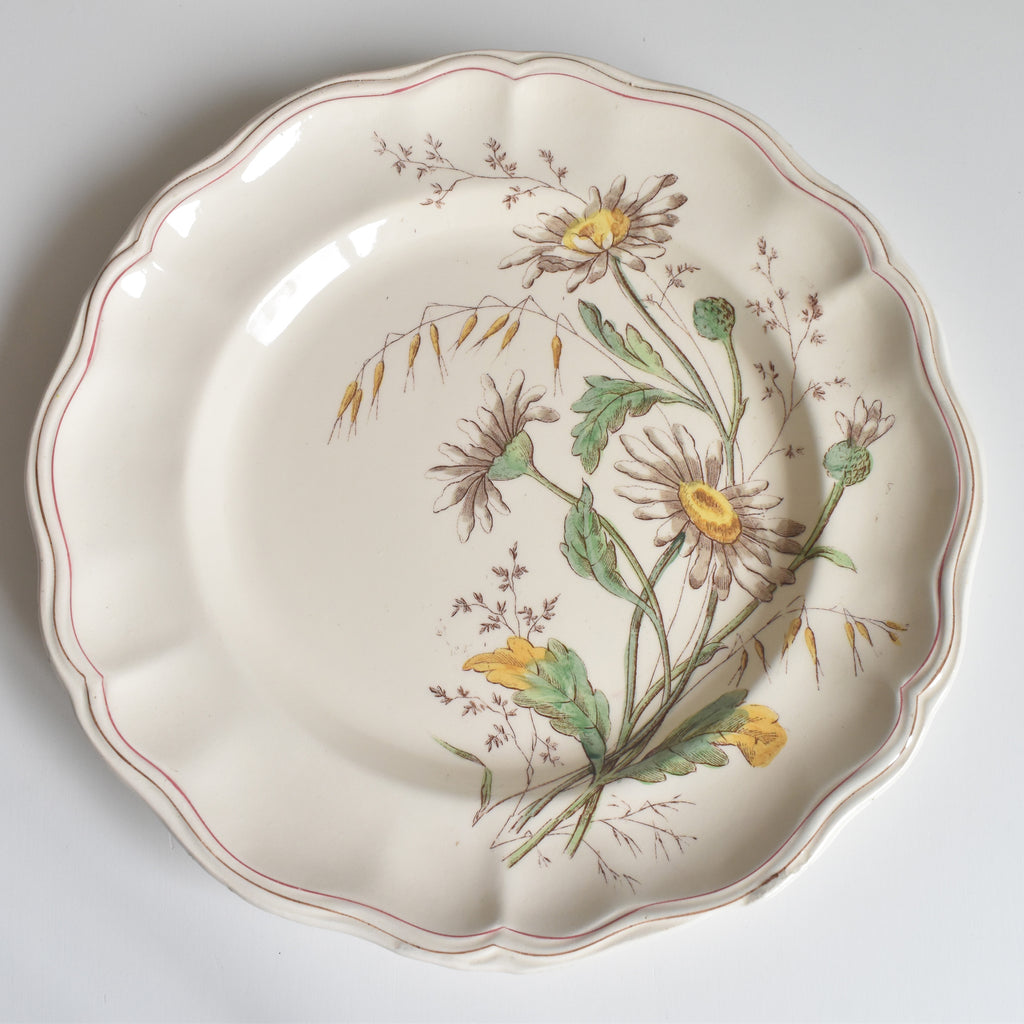 フランスアンティーク ♧ ロンシャン ♧ オイスタープレート24cm