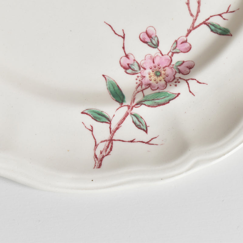 Antique plate: Longchamp "Pommiers" (Apple Trees) A