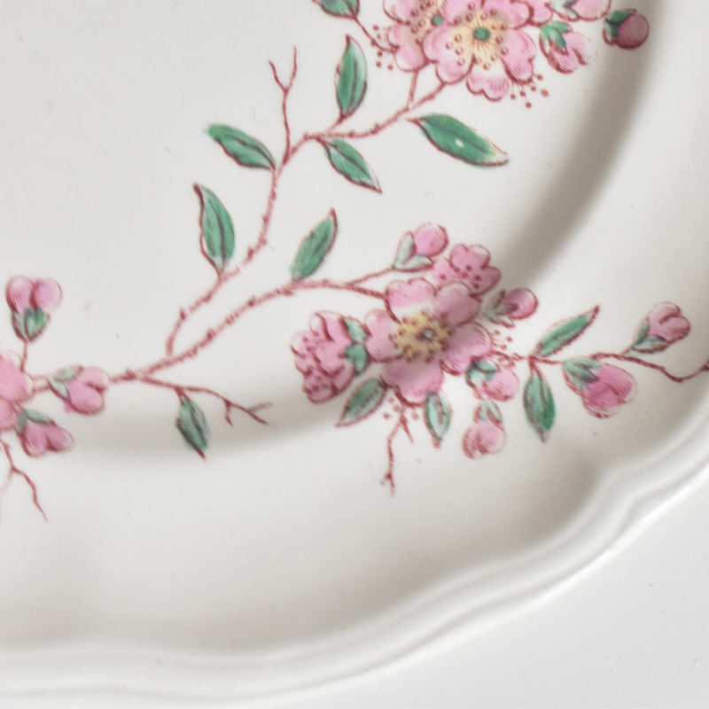 Antique Plate Longchamp Pommiers (Apple Trees) B