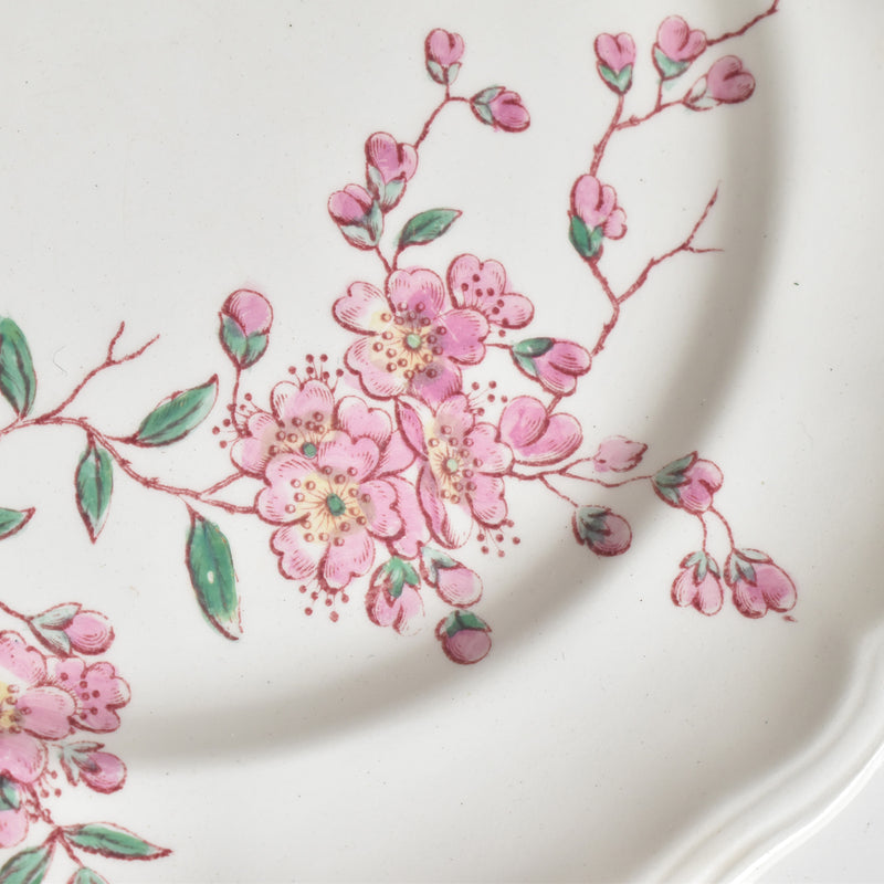 Antique Plate Longchamp Pommiers (Apple Trees) B
