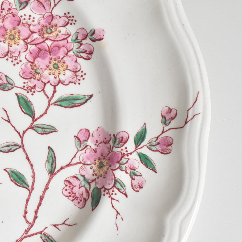 Antique Plate Longwy Pommiers (Apple Trees) C
