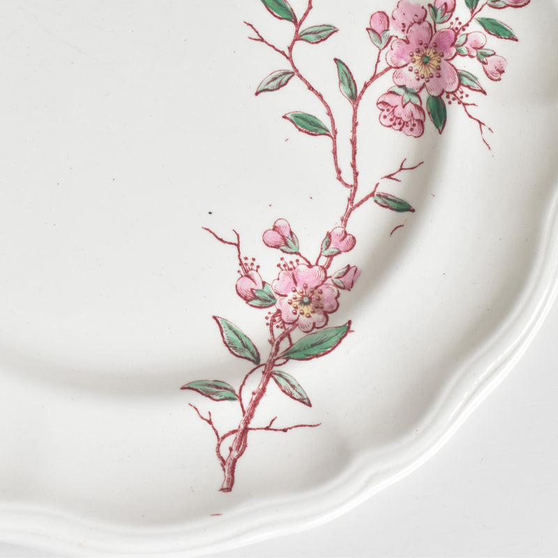 Antique Plate Longwy Pommiers (Apple Trees) C