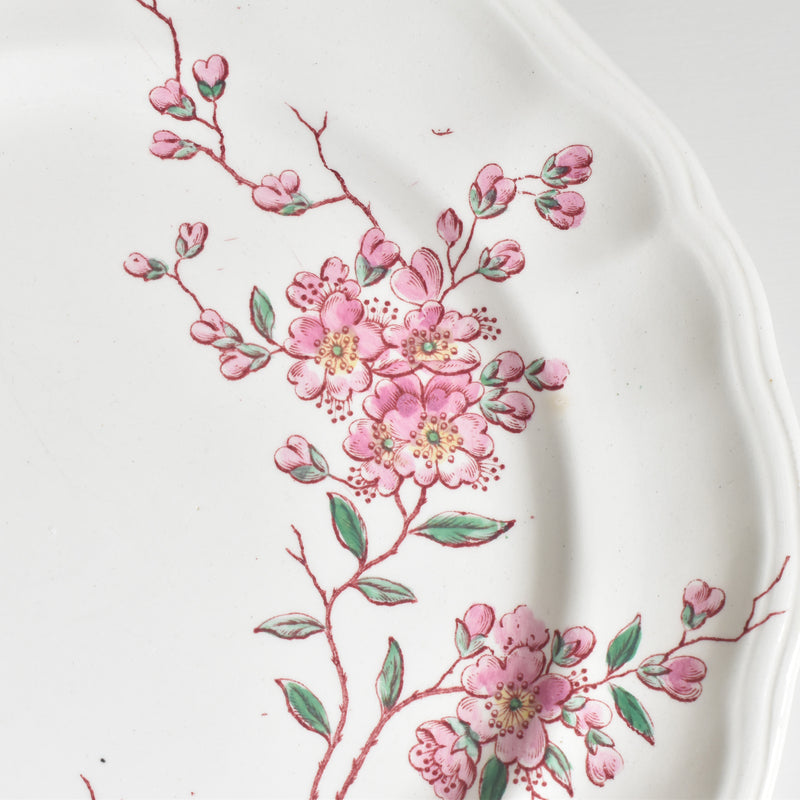 Antique Plate Longwy Pommiers (Apple Trees) C