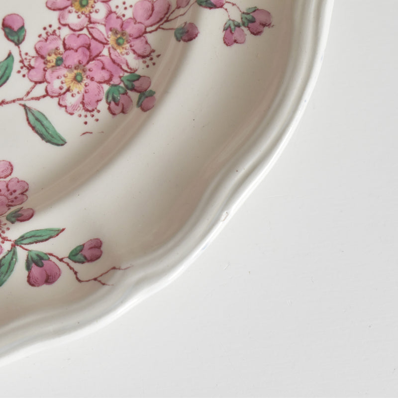 Antique Plate Longchamp Pommiers (Apple Trees) D