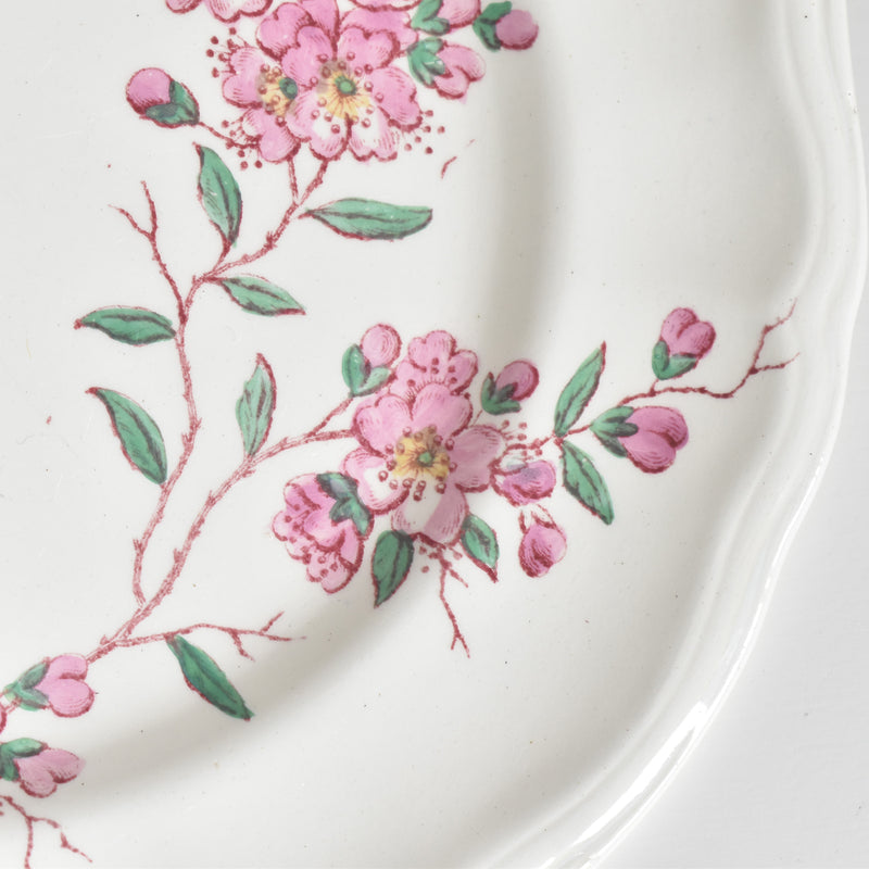 Antique Plate Longchamp Pommiers (Apple Trees) D