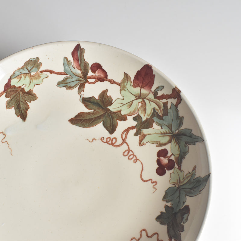 アンティークコンポティエ リュネヴィル Lierre (アイビー）