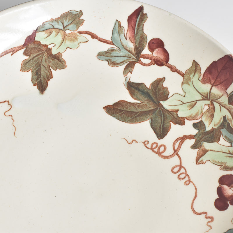 アンティークコンポティエ リュネヴィル Lierre (アイビー）