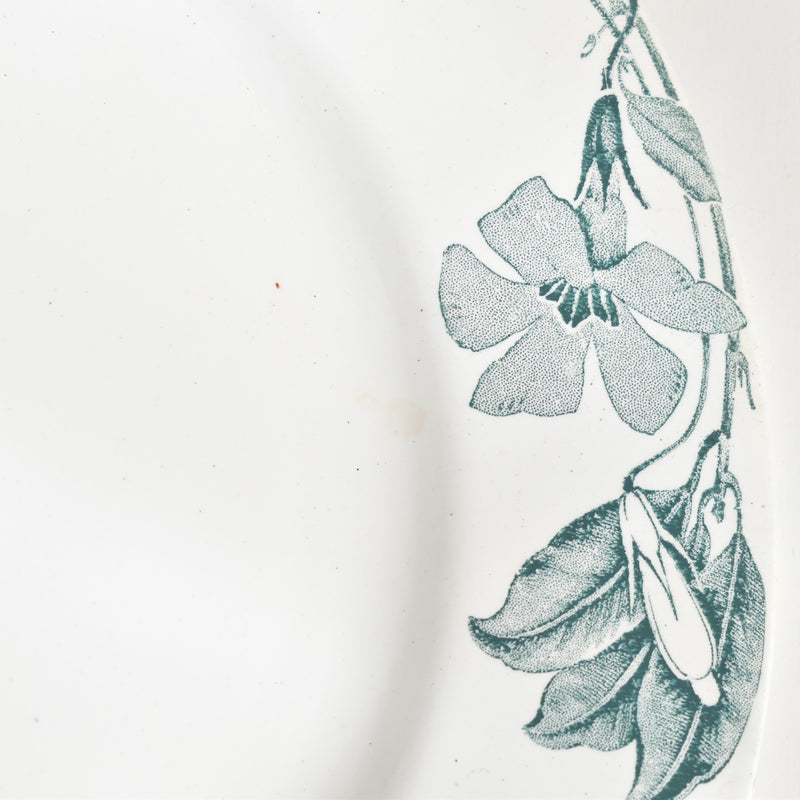 アンティークプレート KGリュネヴィル Poitou（ポワトゥー） A