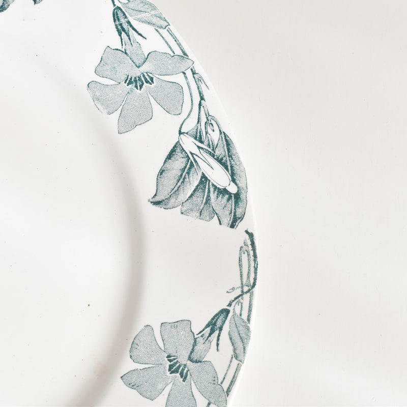 アンティークプレート KGリュネヴィル Poitou（ポワトゥー） A