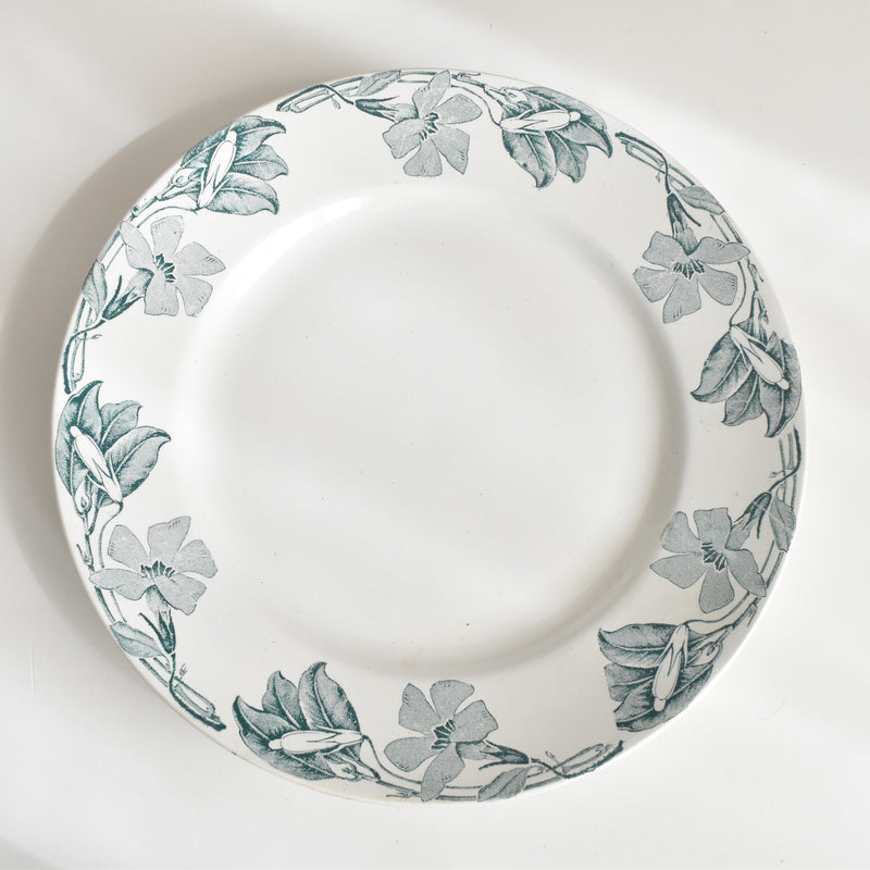 アンティークプレート KGリュネヴィル Poitou（ポワトゥー） A