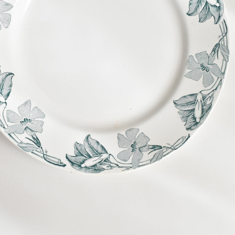 アンティークプレート KGリュネヴィル Poitou（ポワトゥー） A