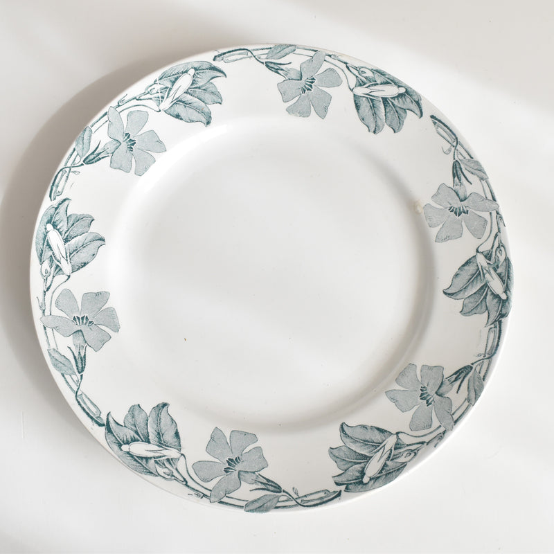 アンティークプレート KGリュネヴィル Poitou（ポワトゥー） B