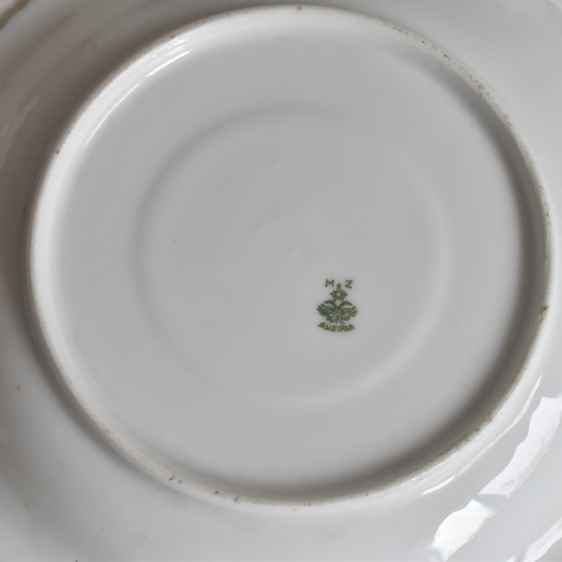 Antique Cup & Saucer Moritz Zdekauer Austria A