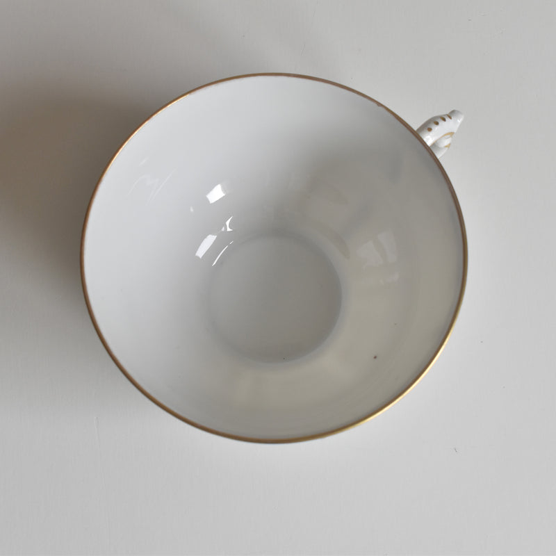 Antique Cup & Saucer Moritz Zdekauer Austria A