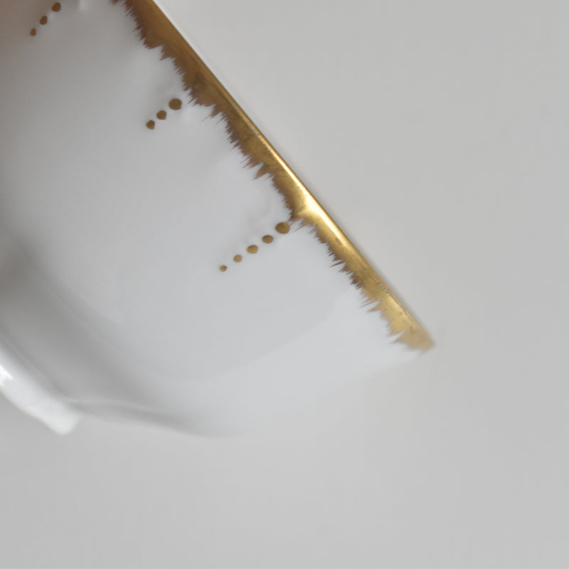 Antique Cup & Saucer Moritz Zdekauer Austria A
