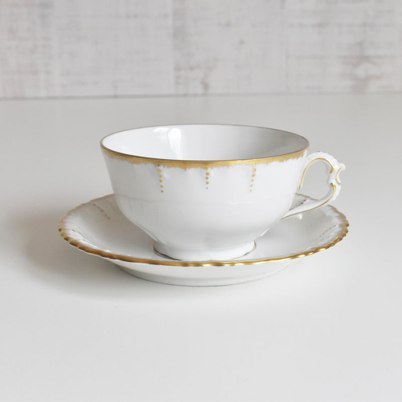 Antique Cup & Saucer Moritz Zdekauer Austria A