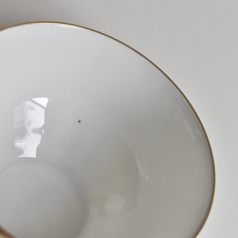 Antique Cup & Saucer Moritz Zdekauer Austria A