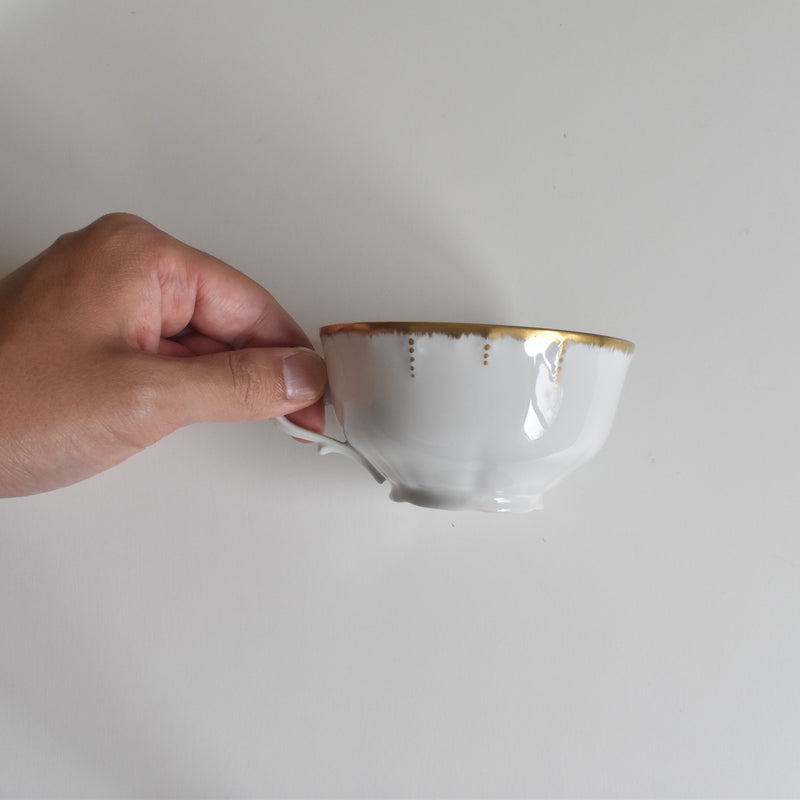 Antique Cup & Saucer Moritz Zdekauer Austria A