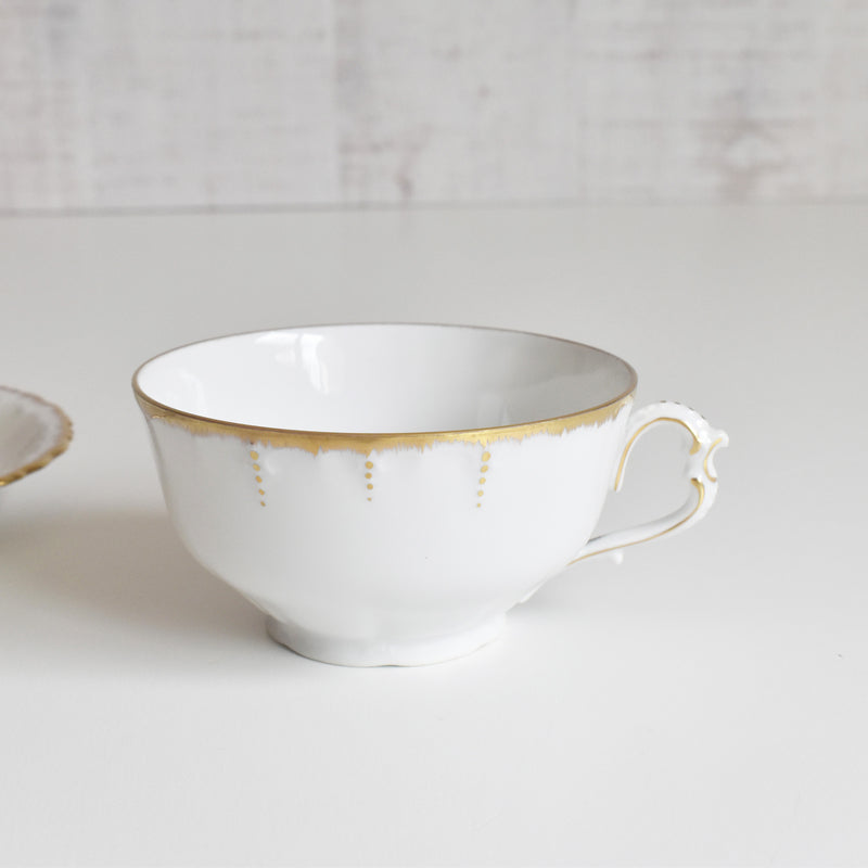 Antique Cup & Saucer Moritz Zdekauer Austria A