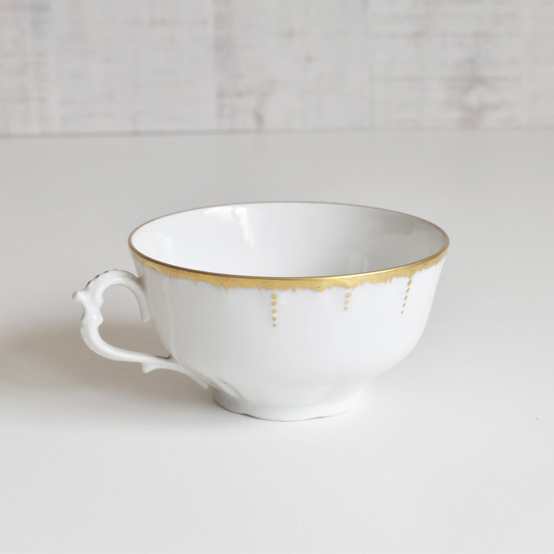 Antique Cup & Saucer Moritz Zdekauer Austria A