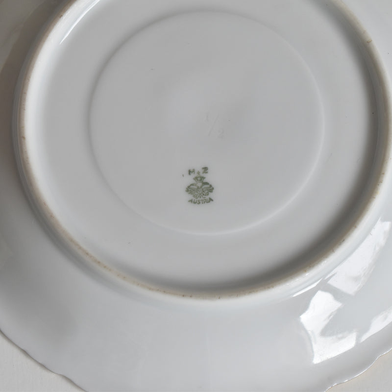Antique Cup & Saucer Moritz Zdekauer Austria B