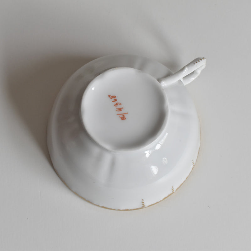 Antique Cup & Saucer Moritz Zdekauer Austria B
