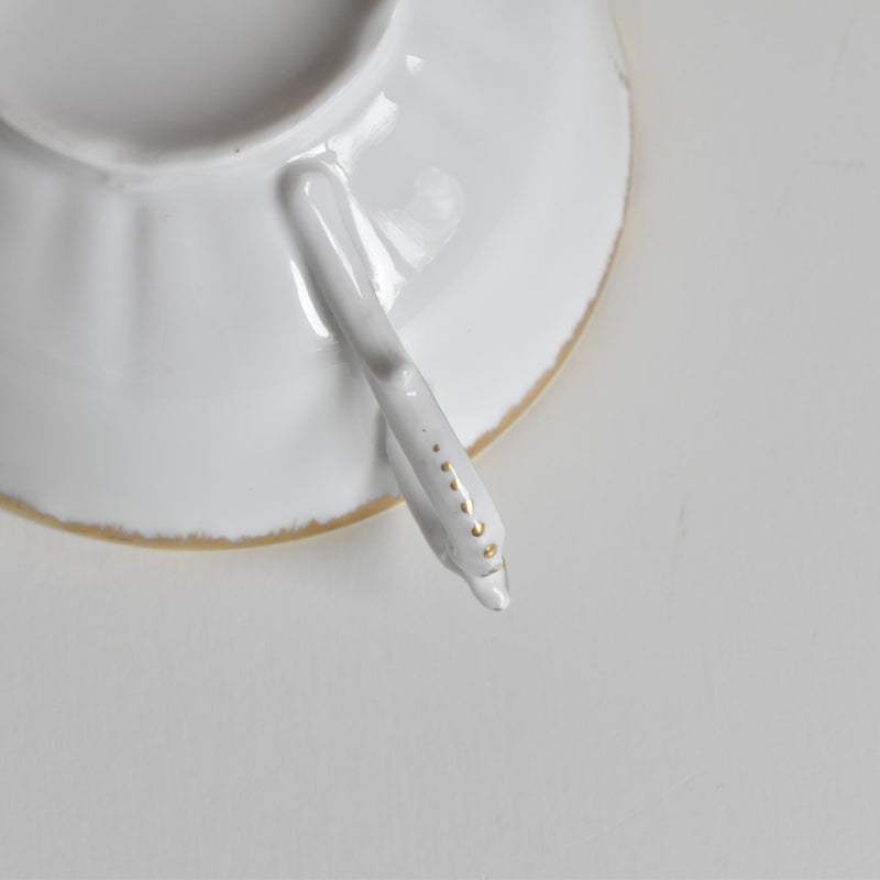 Antique Cup & Saucer Moritz Zdekauer Austria B